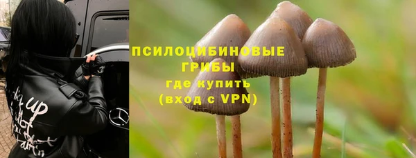 гидра Баксан