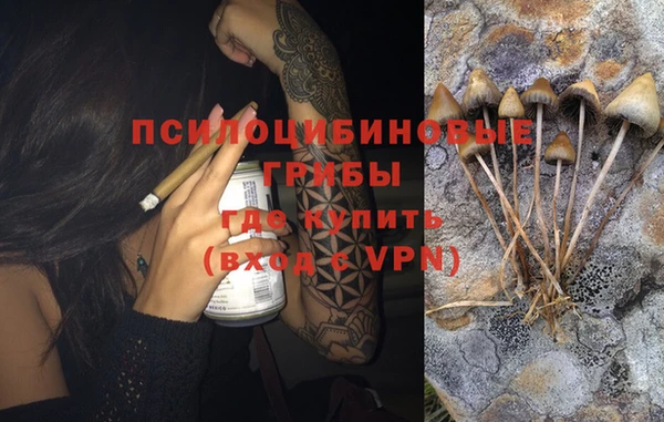 гидра Баксан